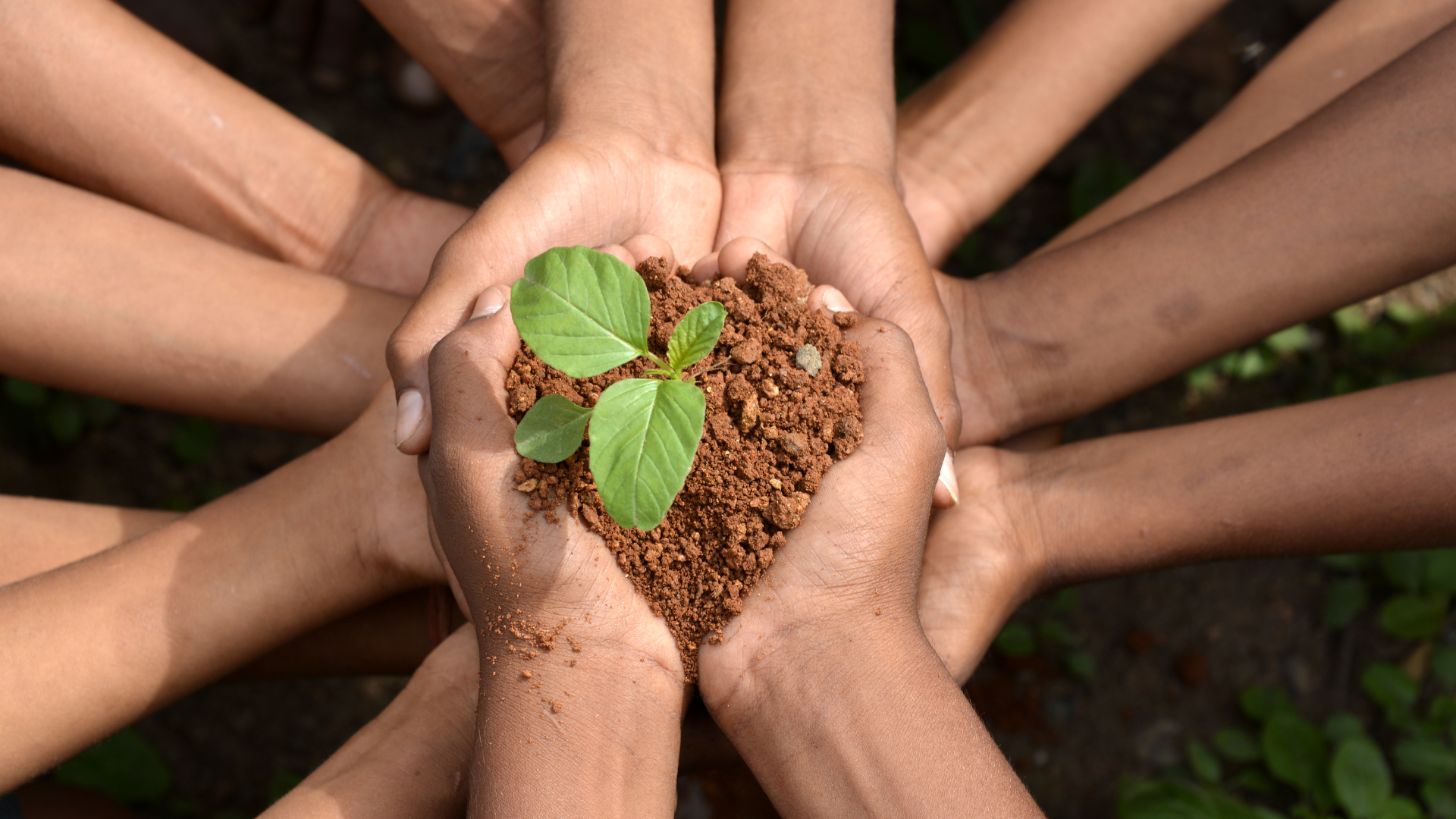 Sostenibilidad, prosperidad y salud en clave «One health»